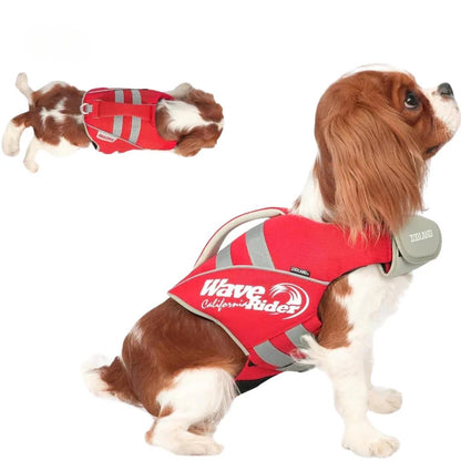 Paw Star Köpek Can Yeleği - MAKKA