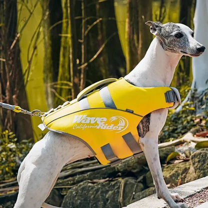 Paw Star Köpek Can Yeleği - MAKKA