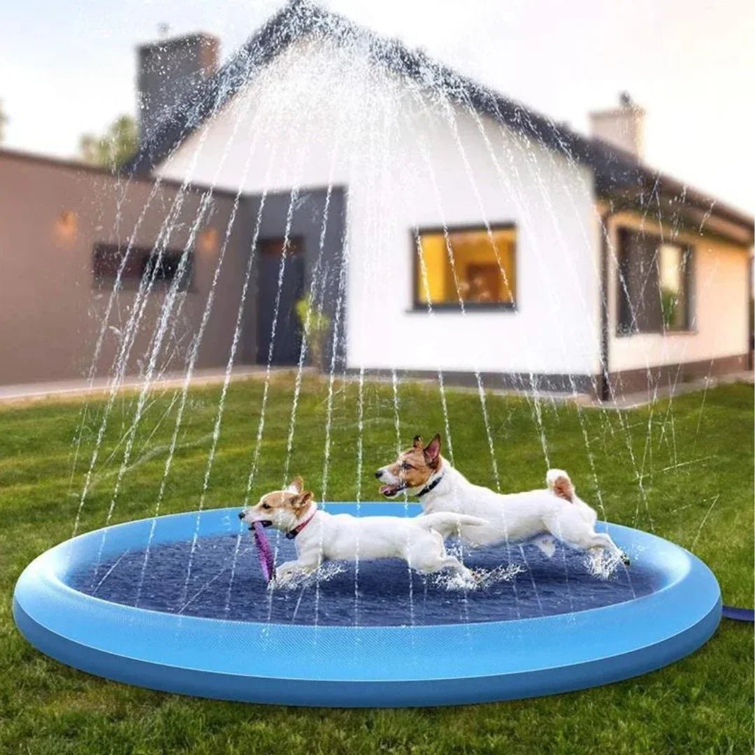 Paw Star Köpek Oyun Havuzu - MAKKA