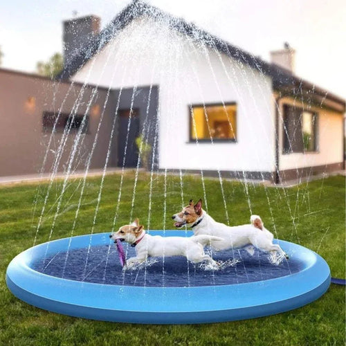 Paw Star Köpek Oyun Havuzu - MAKKA