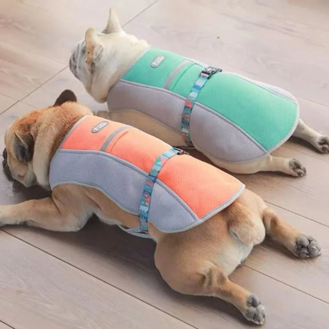 Paw Star Köpekler İçin Soğutucu Yelek - MAKKA