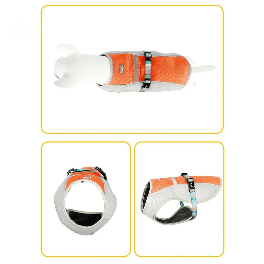 Paw Star Köpekler İçin Soğutucu Yelek - MAKKA