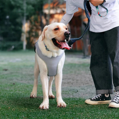 Paw Star Köpekler İçin Soğutucu Yelek - MAKKA