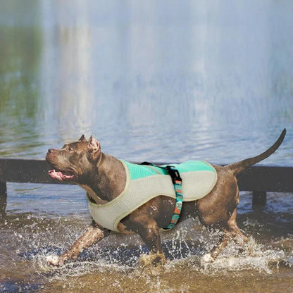 Paw Star Köpekler İçin Soğutucu Yelek - MAKKA