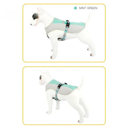 Paw Star Köpekler İçin Soğutucu Yelek - MAKKA