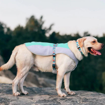 Paw Star Köpekler İçin Soğutucu Yelek - MAKKA