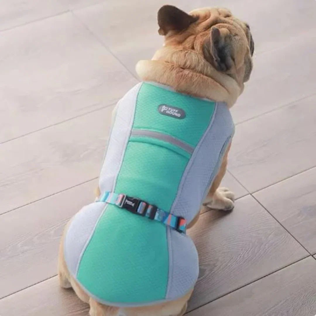 Paw Star Köpekler İçin Soğutucu Yelek - MAKKA