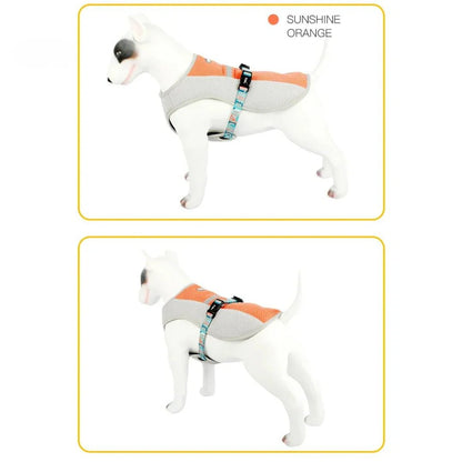 Paw Star Köpekler İçin Soğutucu Yelek - MAKKA