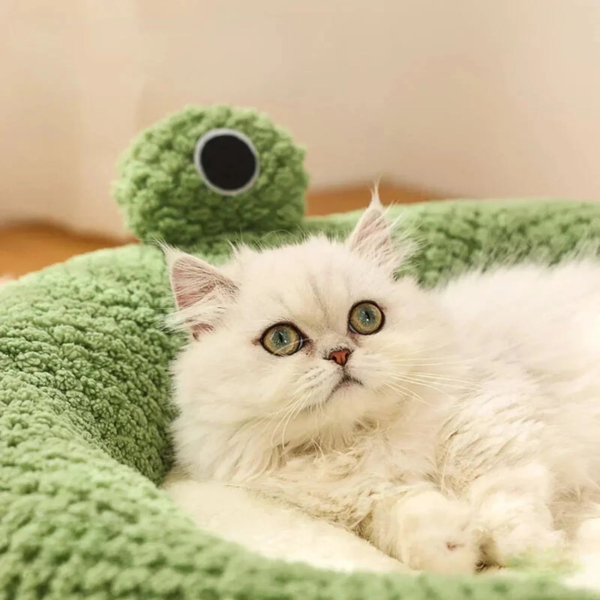 Paw Star Kurbağa Kedi Yatağı - 3 Seçenek - MAKKA