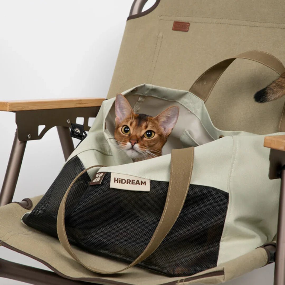 Paw Star Modern Kedi Taşıma Çantası - MAKKA