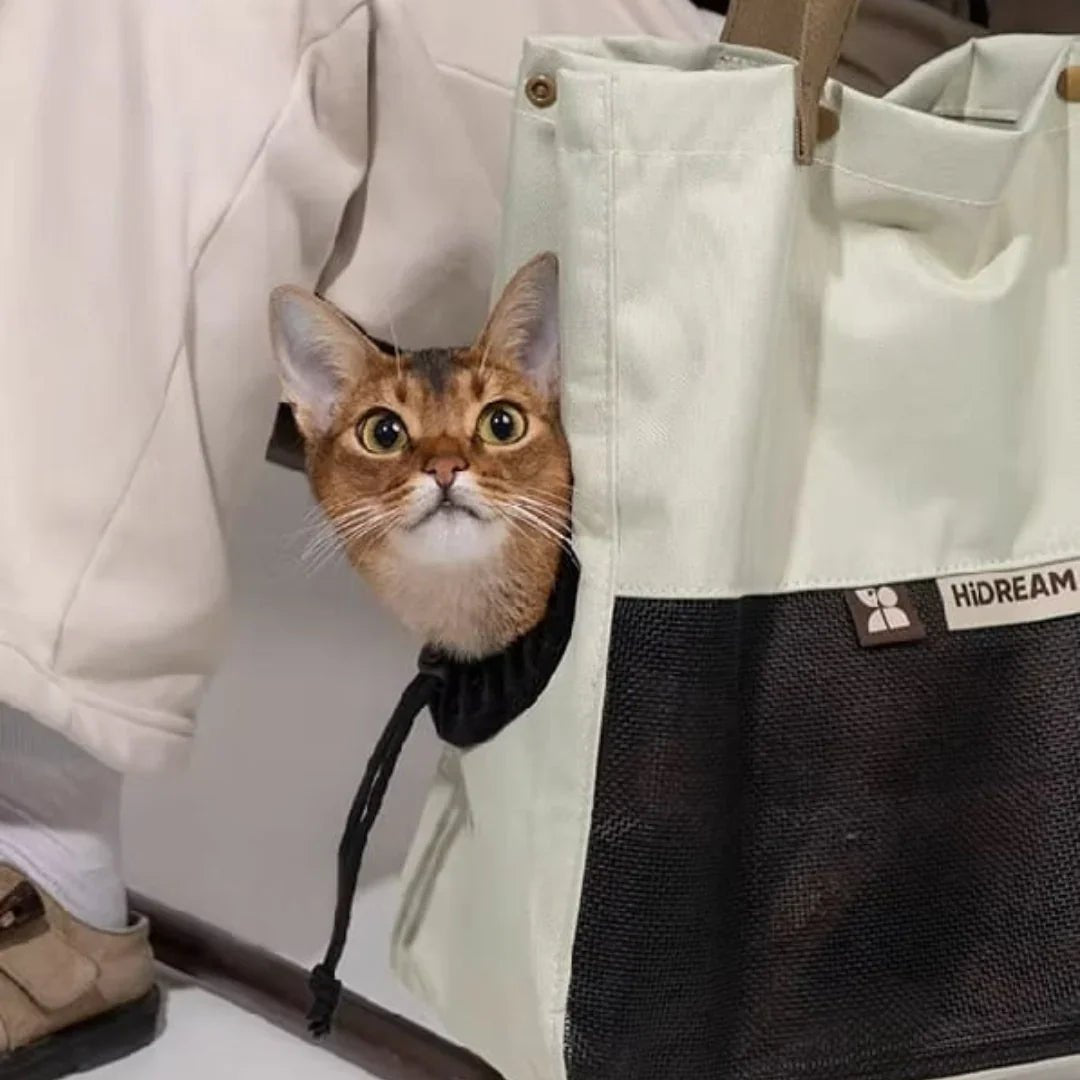 Paw Star Modern Kedi Taşıma Çantası - MAKKA