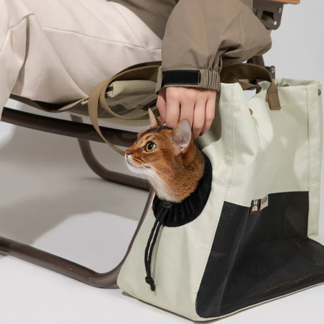 Paw Star Modern Kedi Taşıma Çantası - MAKKA