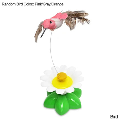 Paw Star Otomatik Elektrikli Kedi Oyuncağı - MAKKA