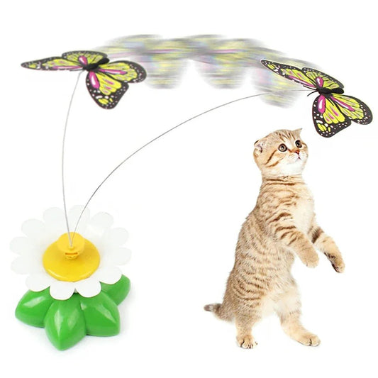 Paw Star Otomatik Elektrikli Kedi Oyuncağı - MAKKA