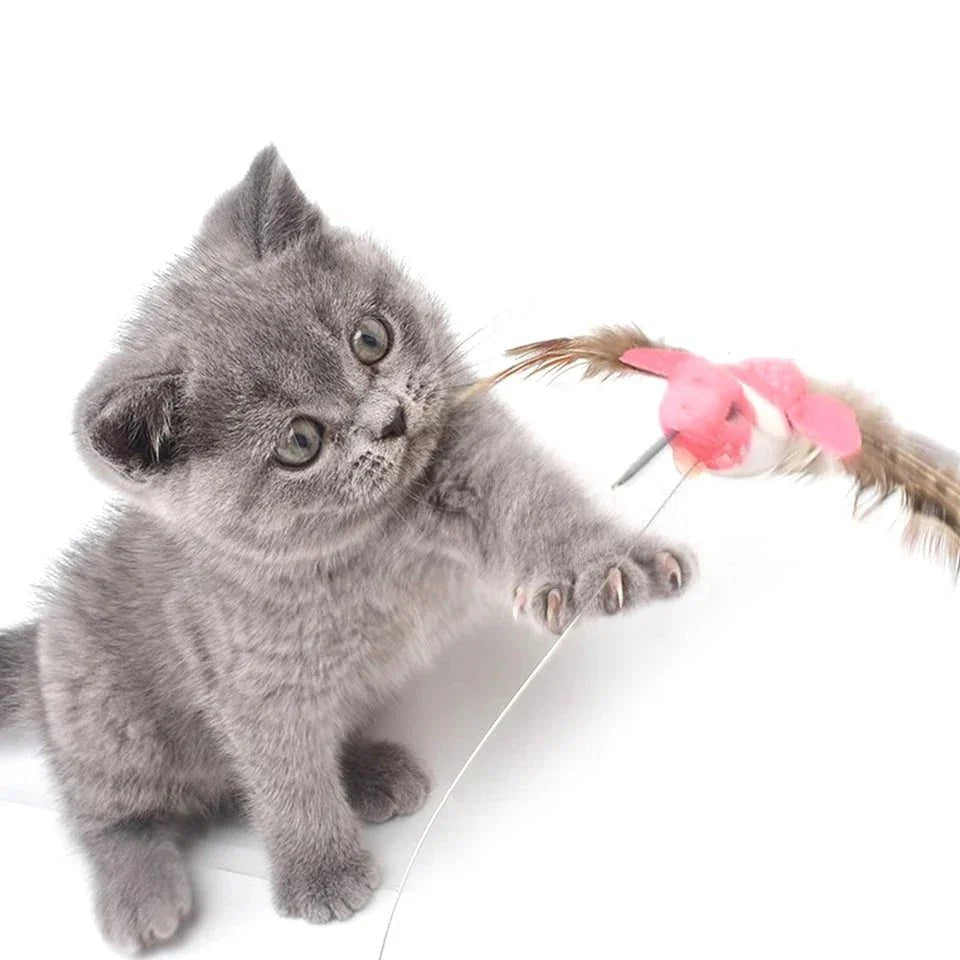 Paw Star Otomatik Elektrikli Kedi Oyuncağı - MAKKA