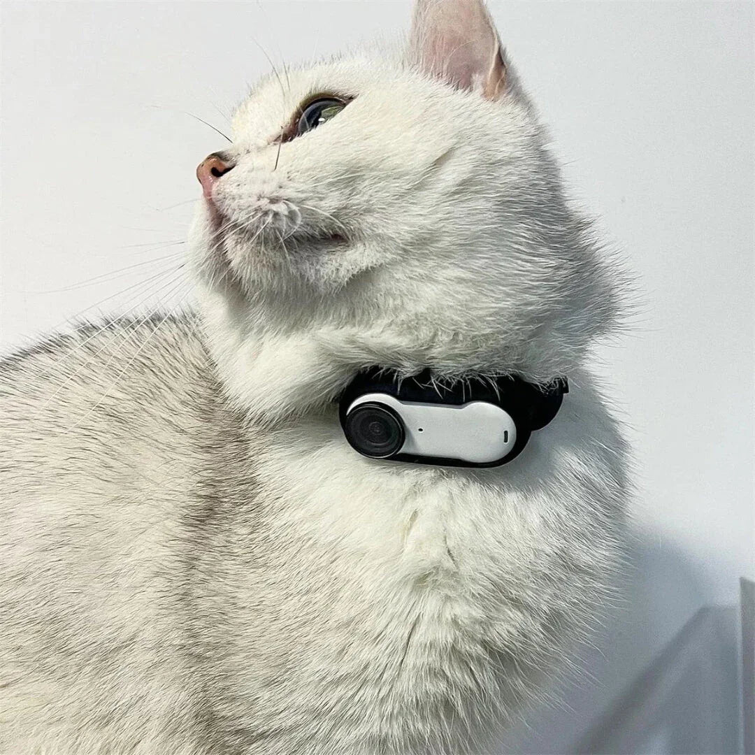 Paw Star Premium Edition Kedi Köpek Tasma Kamerası - MAKKA