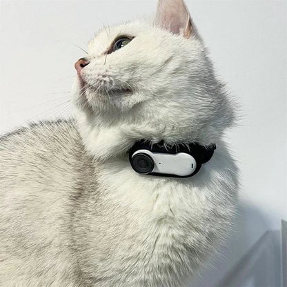 Paw Star Premium Edition Kedi Köpek Tasma Kamerası - MAKKA