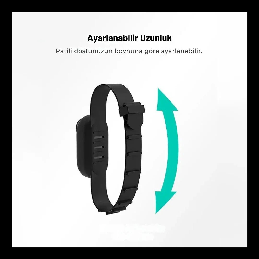 Paw Star Premium Edition Kedi Köpek Tasma Kamerası - MAKKA