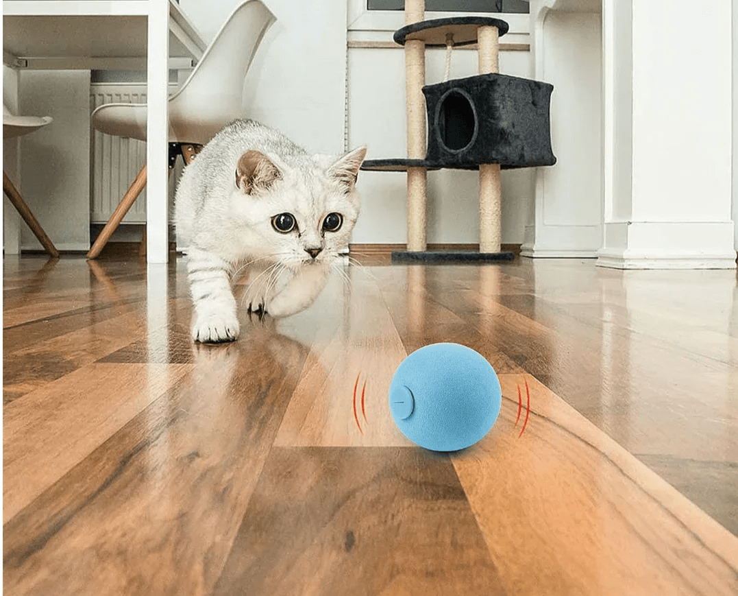 Paw Star Sesli Top Kedi Oyuncağı - MAKKA