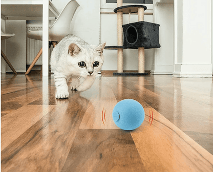 Paw Star Sesli Top Kedi Oyuncağı - MAKKA