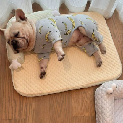 Paw Star Soğutucu Mat - MAKKA