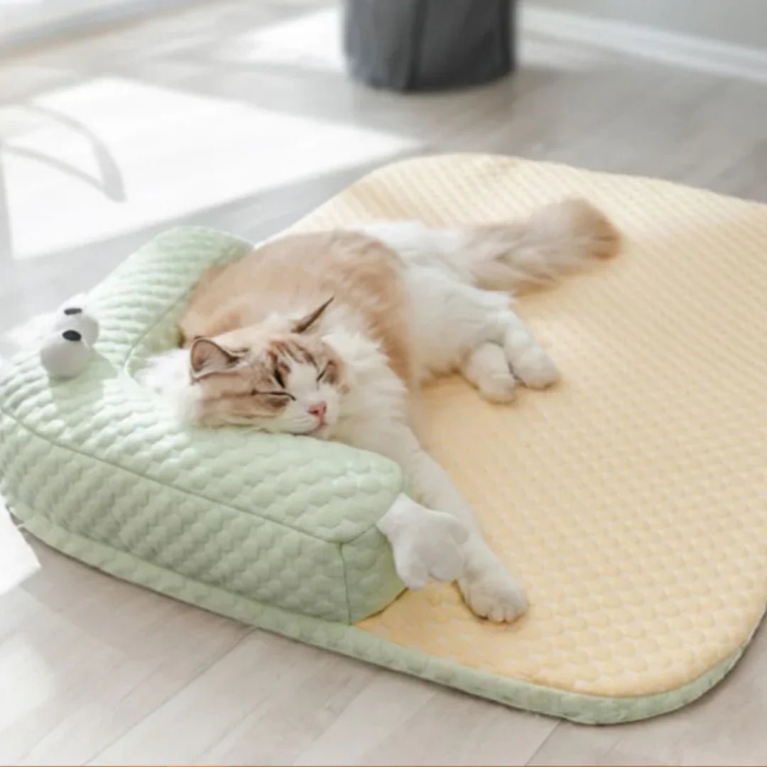 Paw Star Soğutucu Mat - MAKKA