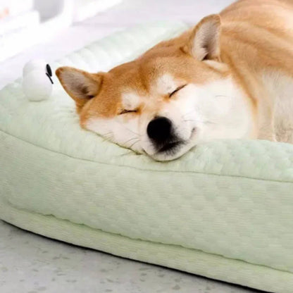 Paw Star Soğutucu Mat - MAKKA