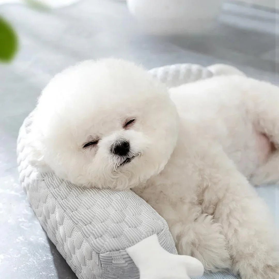 Paw Star Soğutucu Mat - MAKKA