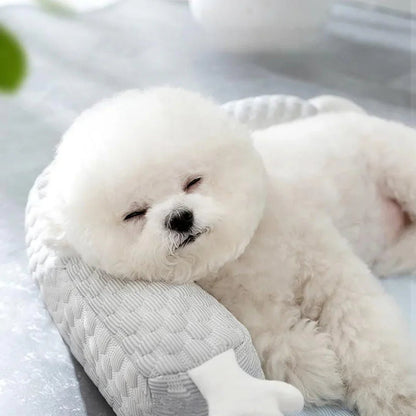 Paw Star Soğutucu Mat - MAKKA