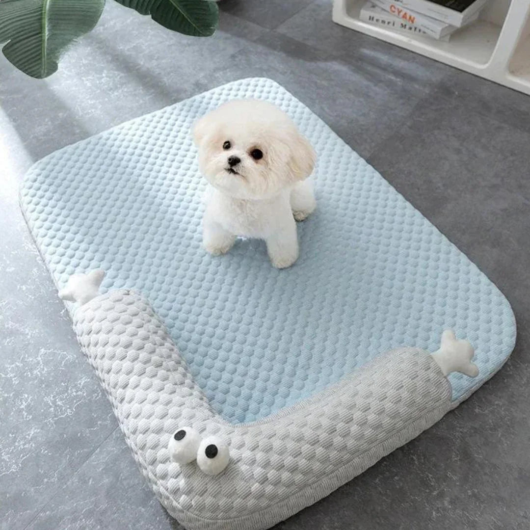 Paw Star Soğutucu Mat - MAKKA