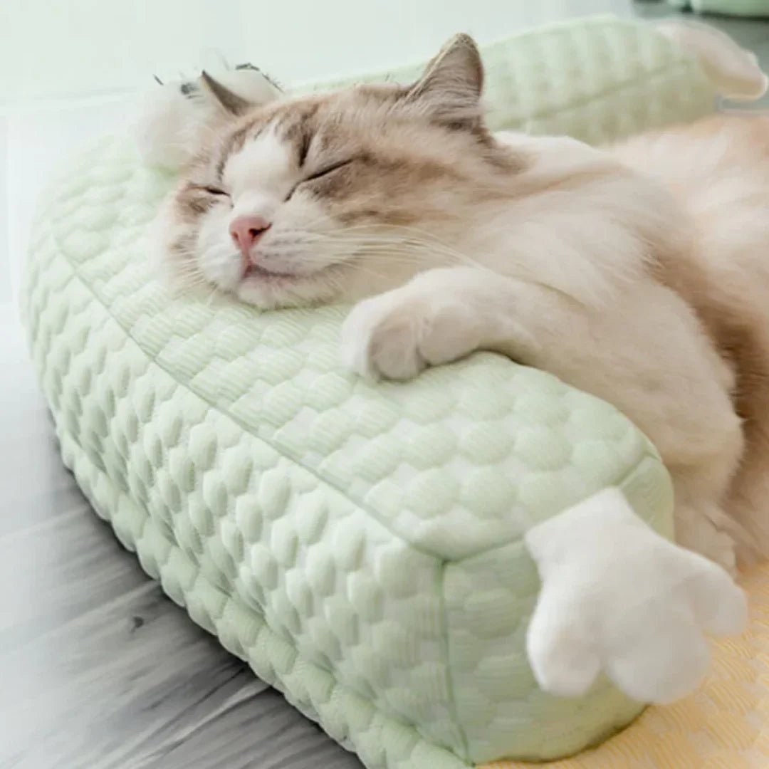 Paw Star Soğutucu Mat - MAKKA