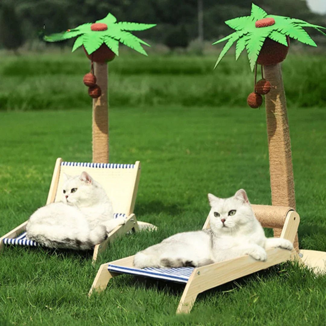 Paw Star Tropikal Kedi Şezlongu - MAKKA