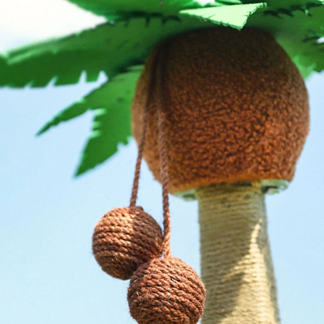 Paw Star Tropikal Kedi Şezlongu - MAKKA