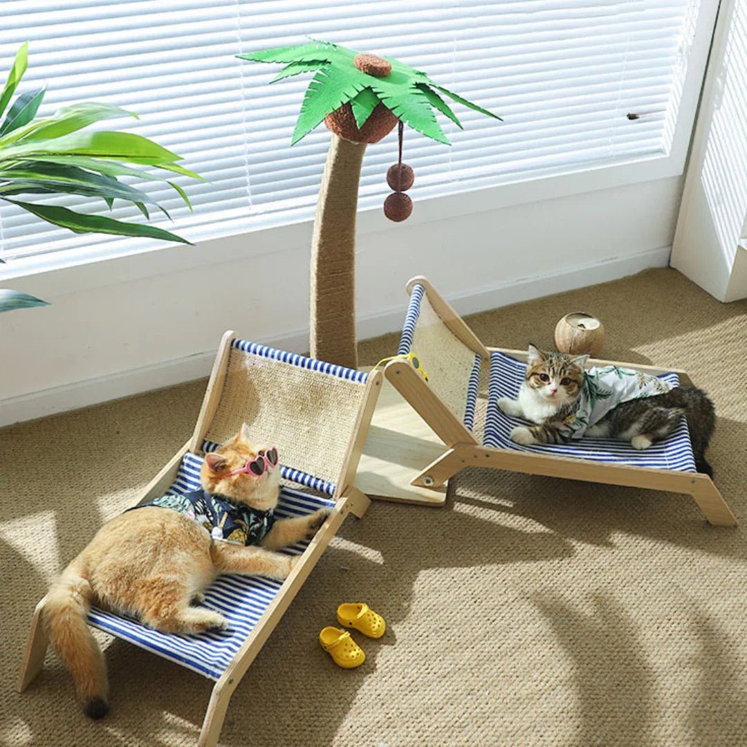 Paw Star Tropikal Kedi Şezlongu - MAKKA