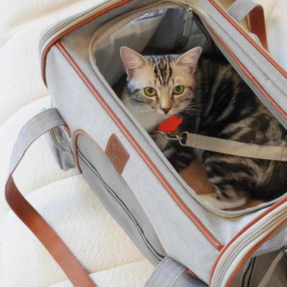 Paw Star Uçak İçi Köpek Taşıma Çantası - MAKKA