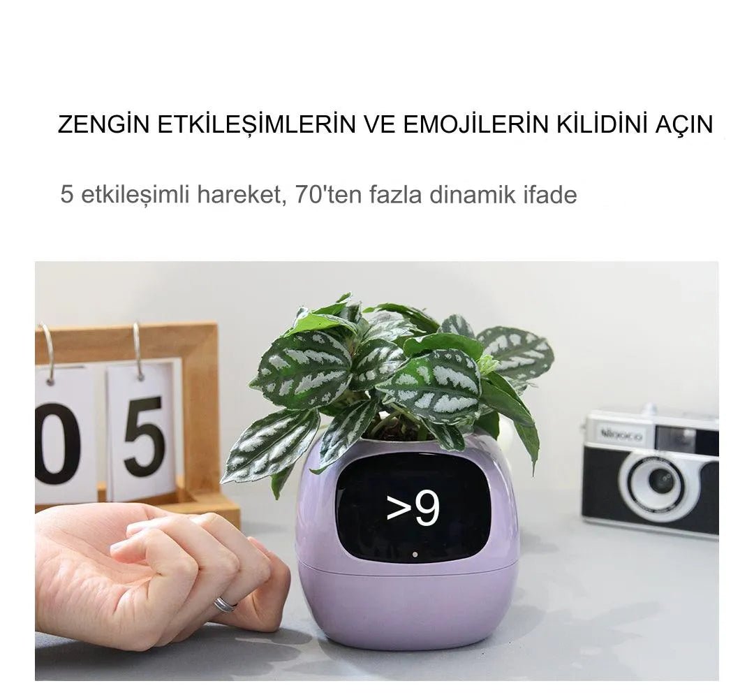 Pikky Akıllı Saksı - MAKKA
