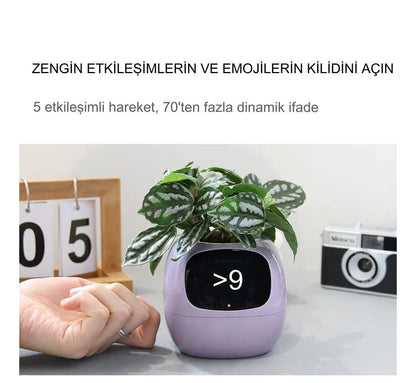Pikky Akıllı Saksı - MAKKA