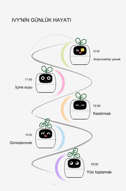 Pikky Akıllı Saksı - MAKKA