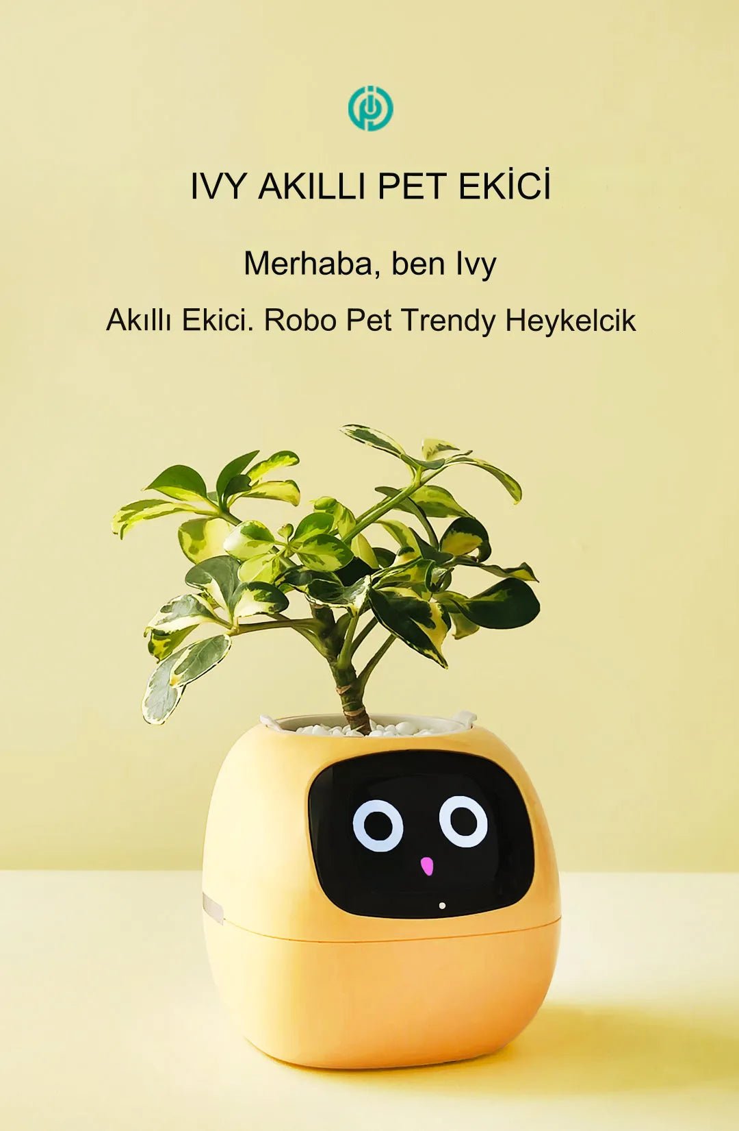 Pikky Akıllı Saksı - MAKKA