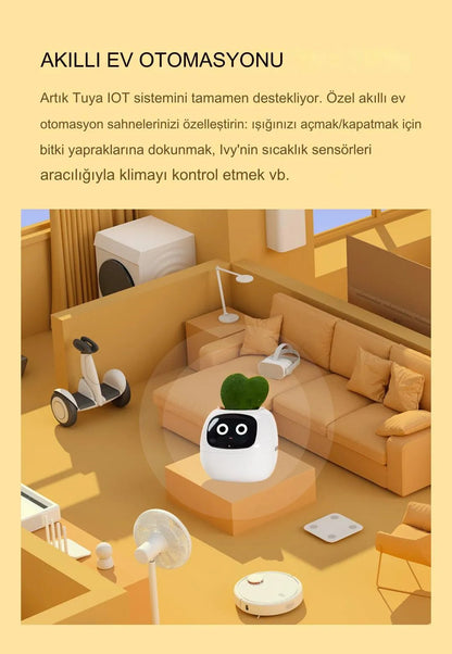 Pikky Akıllı Saksı - MAKKA