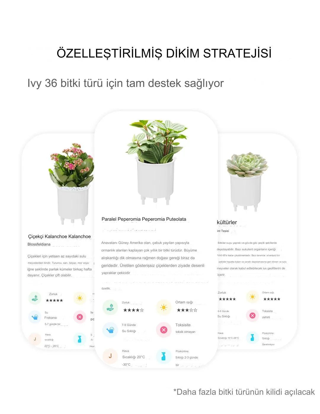 Pikky Akıllı Saksı - MAKKA