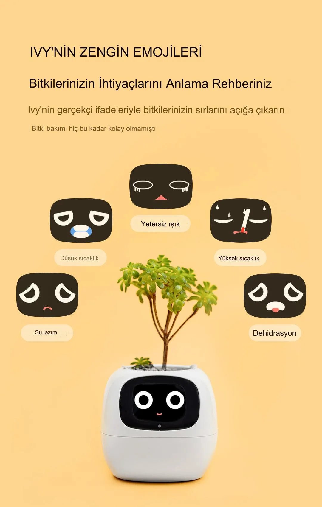 Pikky Akıllı Saksı - MAKKA