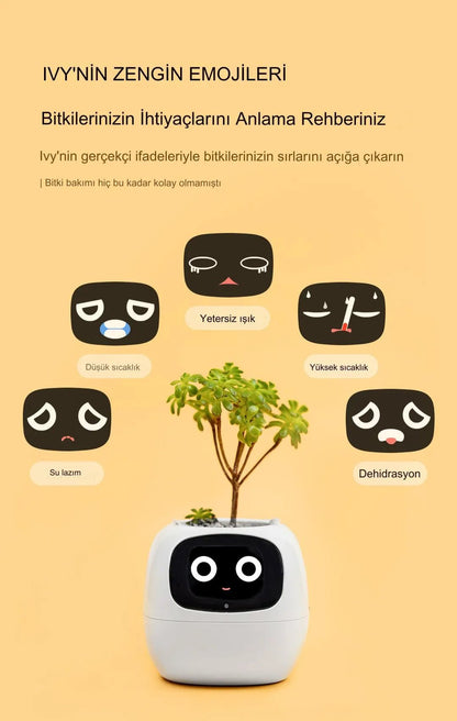 Pikky Akıllı Saksı - MAKKA