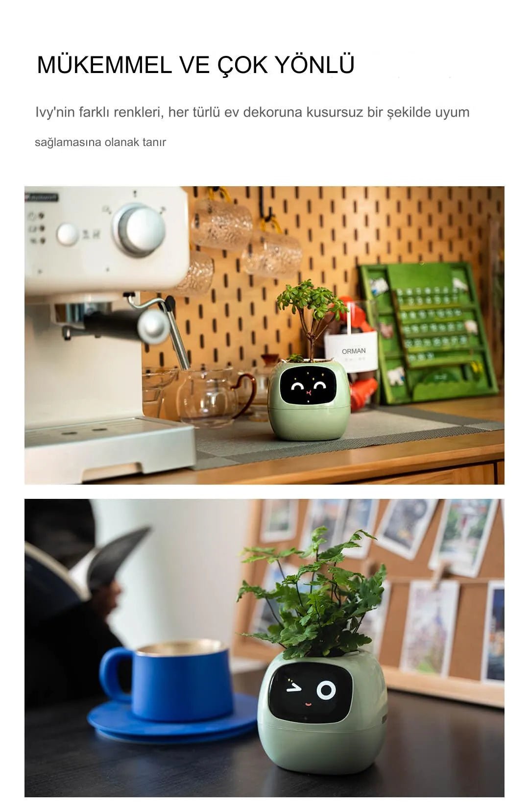 Pikky Akıllı Saksı - MAKKA