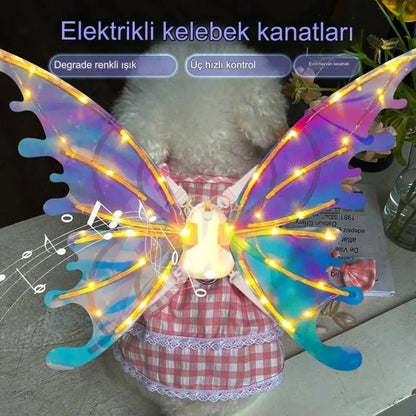 Pilli Çocuk Çok Fonksiyonlu Melek ve Dinozor Kanatları - MAKKA