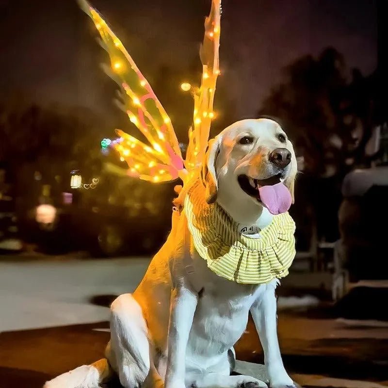 Pilli Çocuk Çok Fonksiyonlu Melek ve Dinozor Kanatları - MAKKA