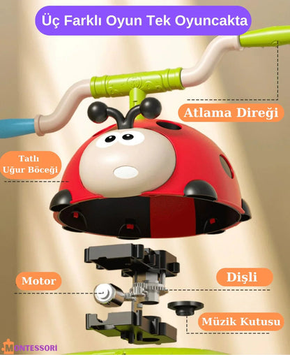 Uğur Böceği Montessori Çok Fonksiyonlu Çocuk Egzersiz ve Tırmanma - MAKKA